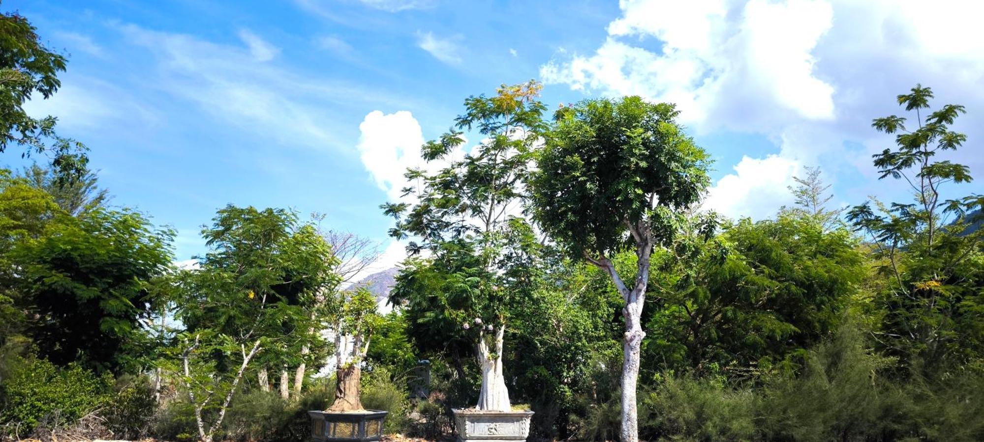 Cobi'S Home Cam Lam Εξωτερικό φωτογραφία