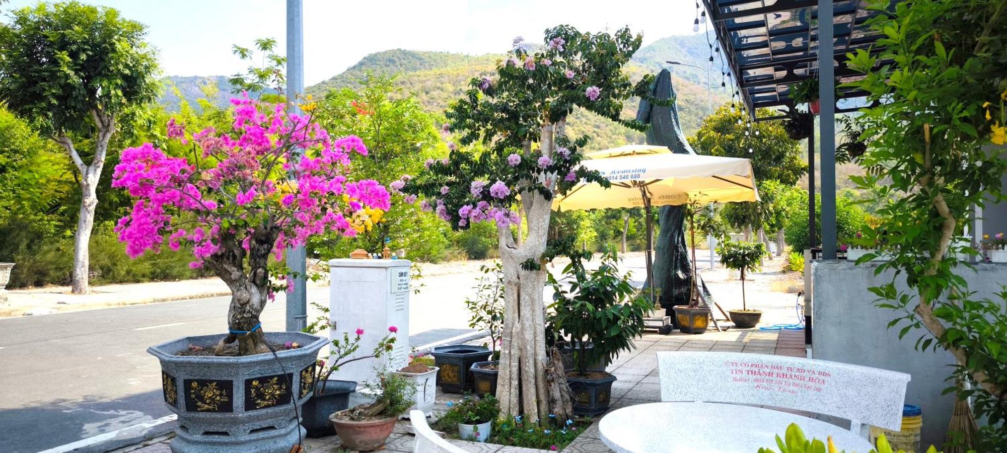 Cobi'S Home Cam Lam Εξωτερικό φωτογραφία